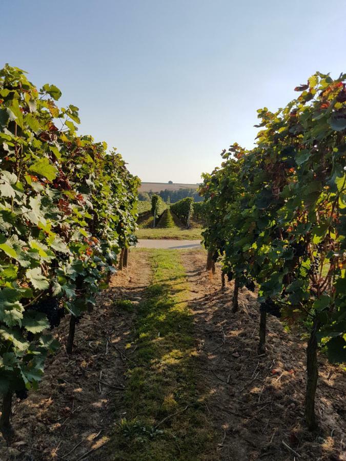 Weingut & Gaestehaus Nagel Kapellen-Drusweiler Екстер'єр фото