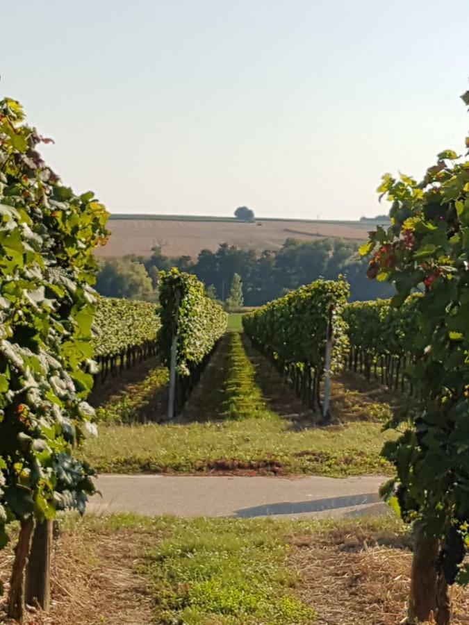 Weingut & Gaestehaus Nagel Kapellen-Drusweiler Екстер'єр фото